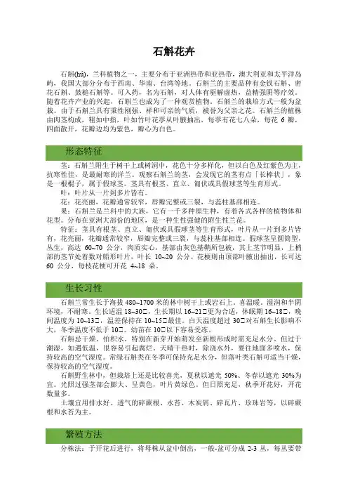 石斛花卉介绍