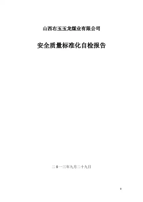玉龙煤矿安全质量标准化自检报告