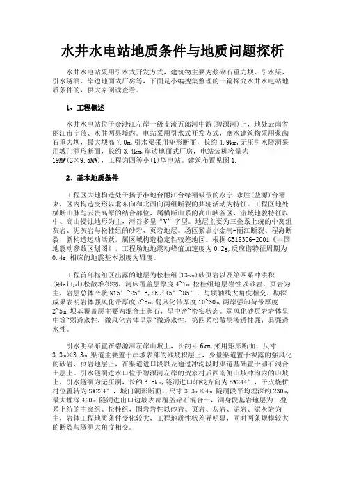 最新 水井水电站地质条件与地质问题探析-精品