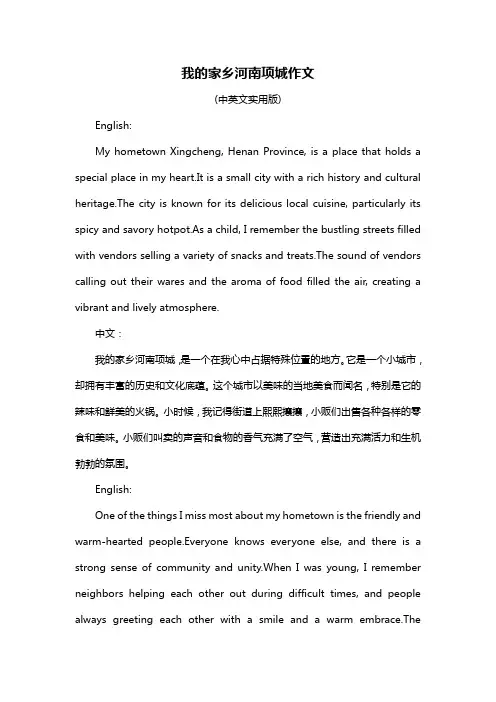 我的家乡河南项城作文