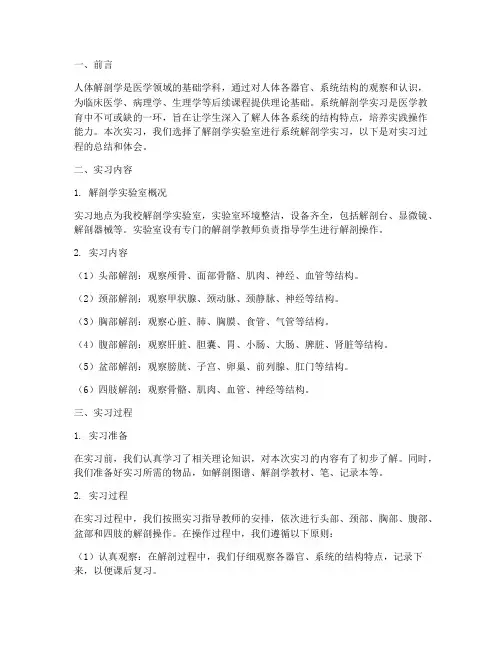 系统解剖学实习报告