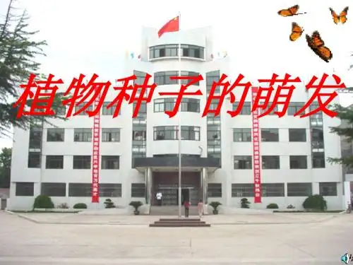 【初中生物】植物种子的萌发PPT课件2