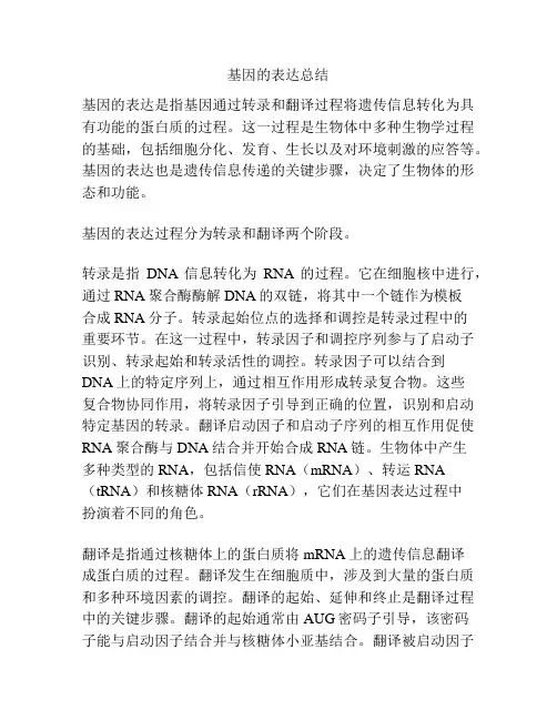 基因的表达总结