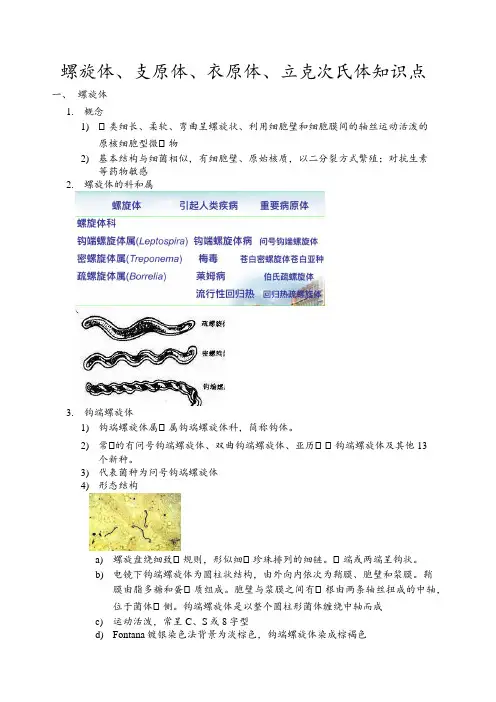 螺旋体、支原体、衣原体、立克次氏体知识点整理