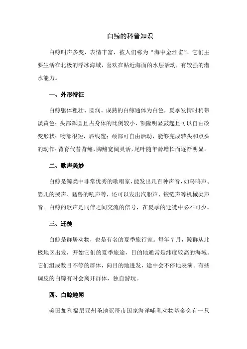 白鲸的科普知识