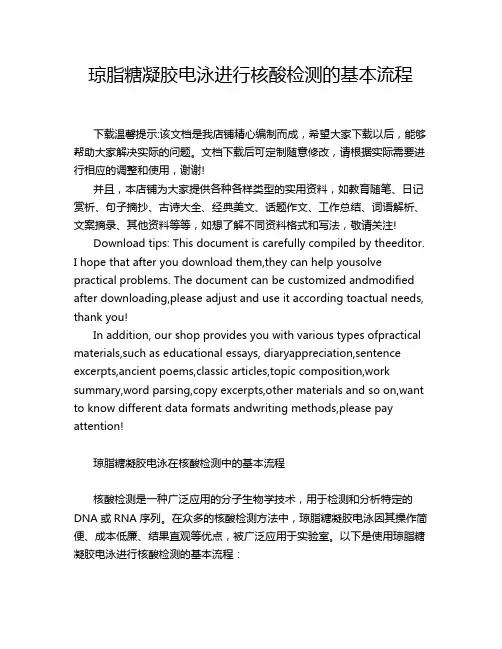 琼脂糖凝胶电泳进行核酸检测的基本流程