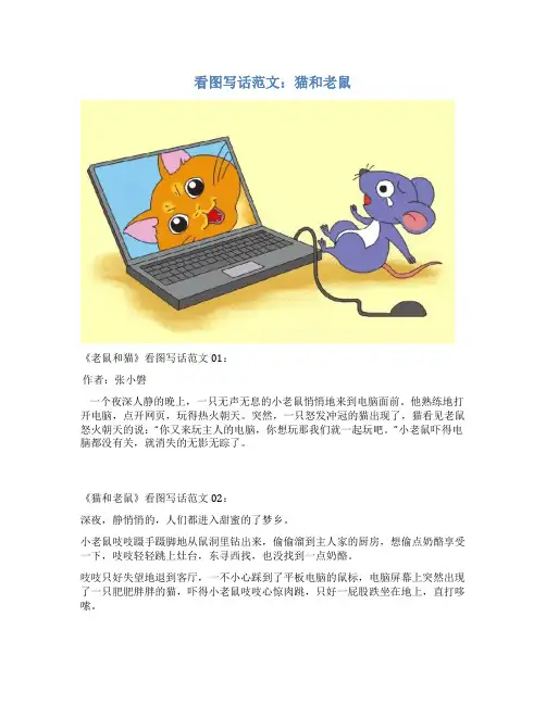 看图写话范文：猫和老鼠
