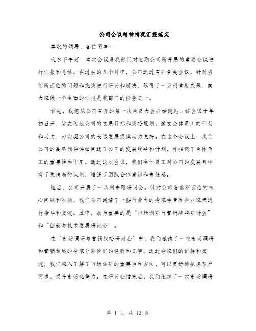 公司会议精神情况汇报范文（三篇）