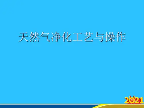 天然气净化工艺与操作