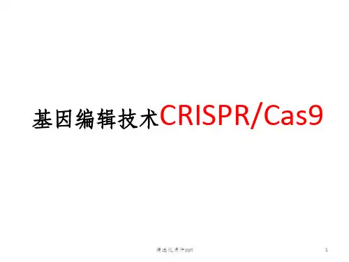 CRISPR-Cas9-基因编辑技术简介ppt课件