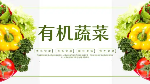 绿色简约有机蔬菜营销宣传PPT模板