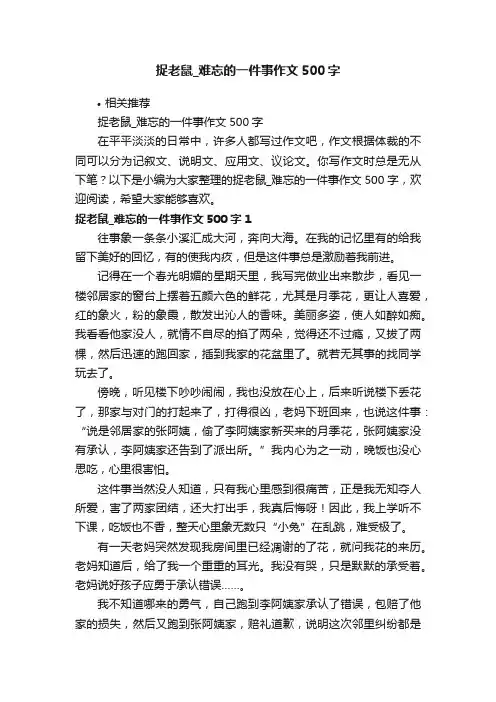 捉老鼠_难忘的一件事作文500字