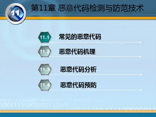 恶意代码检测与防范技术