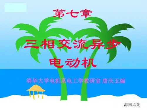 三相异步电动机--清华大学课件