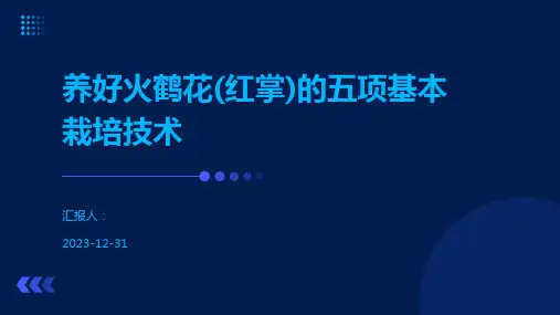 养好火鹤花(红掌)的五项基本栽培技术