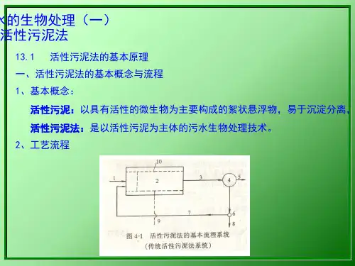 活性污泥法工艺设计