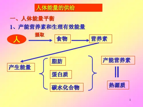 苏教版七下生物 10.5人体能量的供给 课件(1)