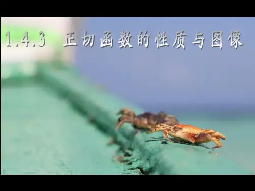 人教A版数学必修4第一章1.4.3 正切函数的性质和图象课件(共23张PPT)