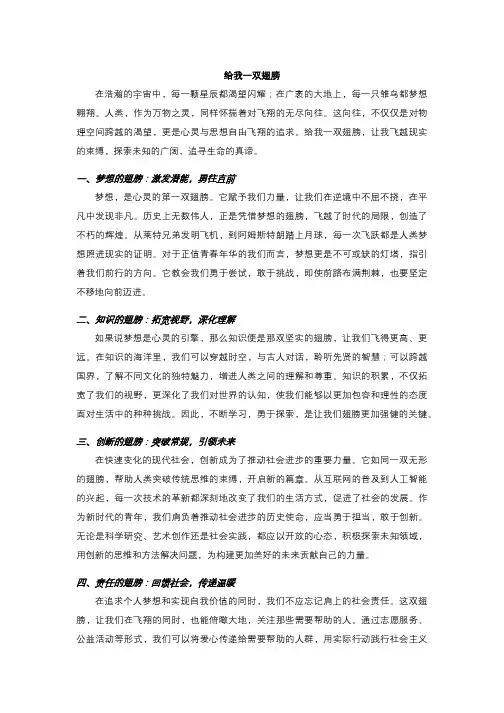给我一双翅膀
