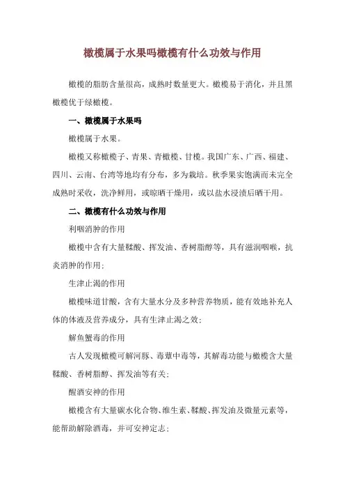 橄榄属于水果吗 橄榄有什么功效与作用