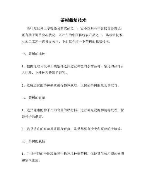 茶树栽培技术