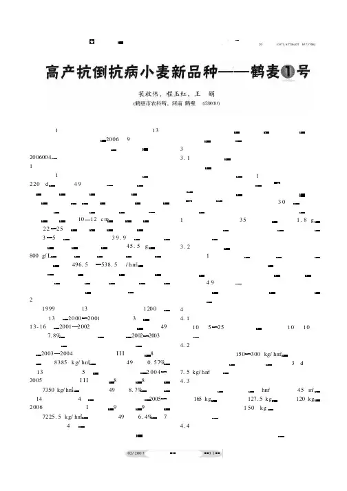 高产抗倒抗病小麦新品种——鹤麦1号