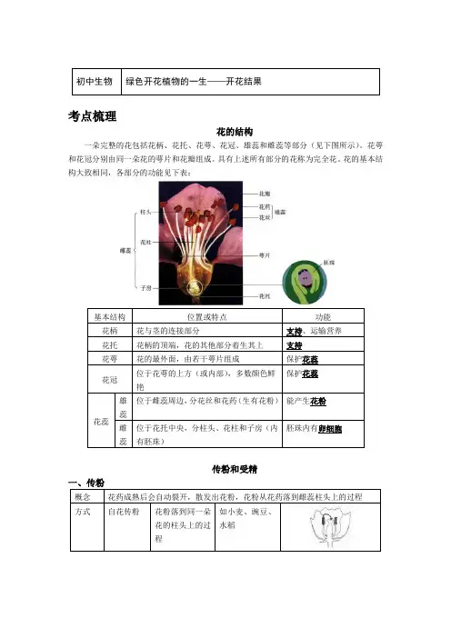 八年级生物下册知识讲义-6.1绿色开花植物的一生——开花结果-冀少版
