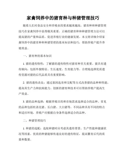 家禽饲养中的猪育种与种猪管理技巧