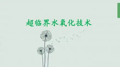 超临界氧化技术