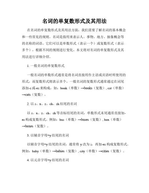 名词的单复数形式及其用法