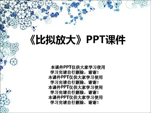 《比拟放大》PPT课件