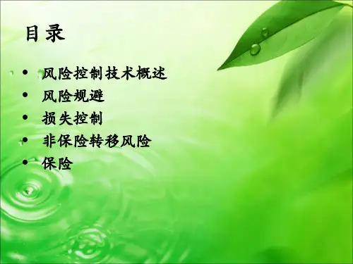 风险控制技术PPT课件