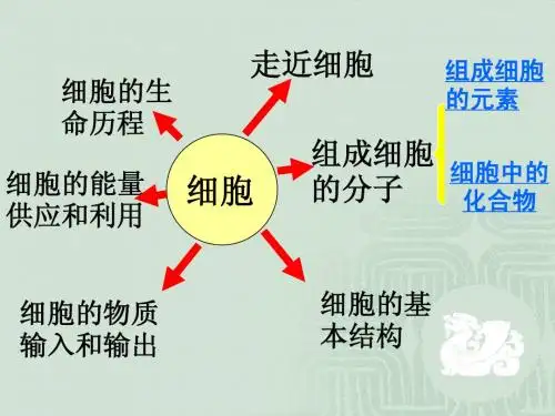 1.1 从生物圈到细胞