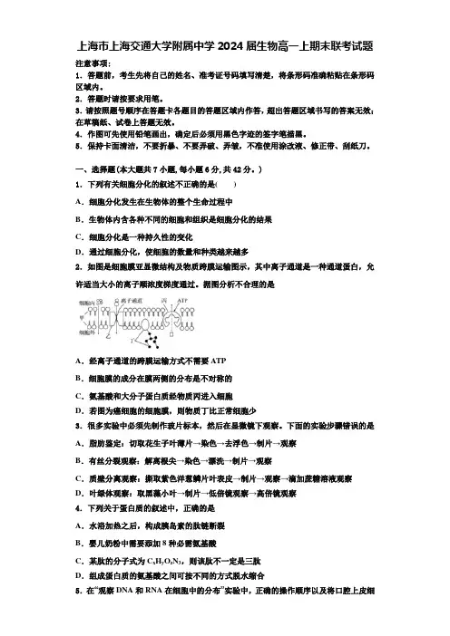 上海市上海交通大学附属中学2024届生物高一上期末联考试题含解析