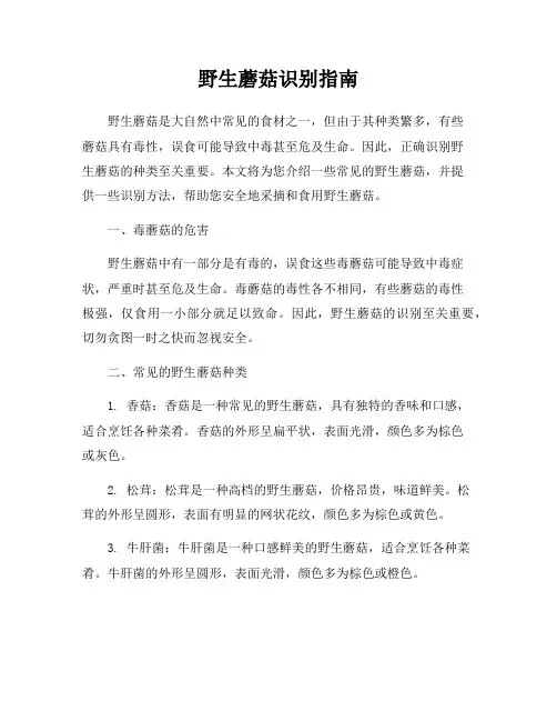野生蘑菇识别指南