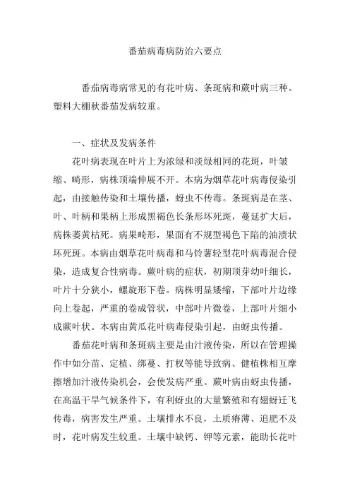 番茄病毒病防治六要点