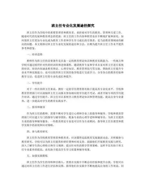 班主任专业化发展途径探究
