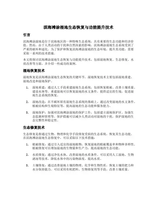 滨海滩涂湿地生态恢复与功能提升技术