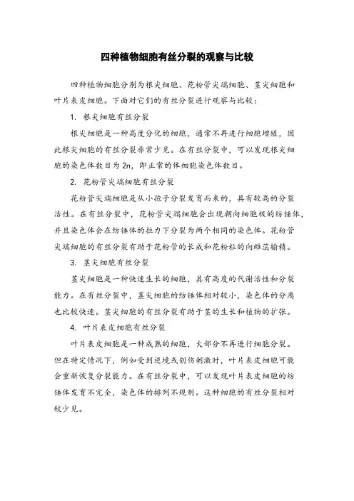 四种植物细胞有丝分裂的观察与比较