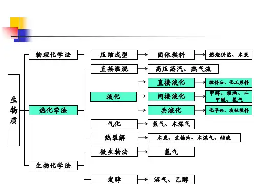 生物质资源转化与利用第四章生物质液化技术ppt课件