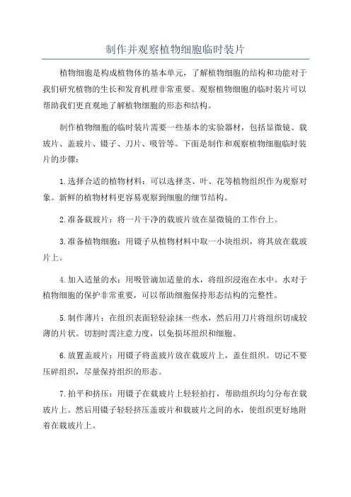制作并观察植物细胞临时装片
