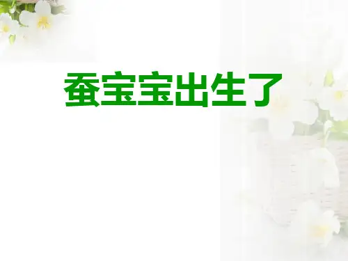 《蚕宝宝出生了》我们来养蚕PPT课件(上课用)4
