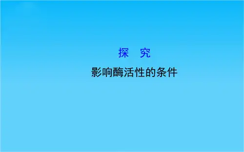 高考生物全程复习策略大一轮配套实验精讲系列影响酶活性的条件(49张ppt)