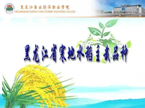 寒地水稻主栽品种(精)