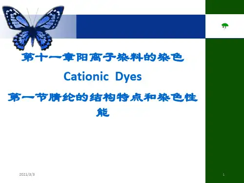 《阳离子染料的染色》PPT课件