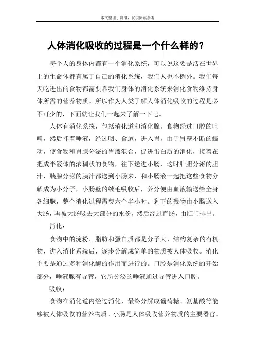 人体消化吸收的过程是一个什么样的？