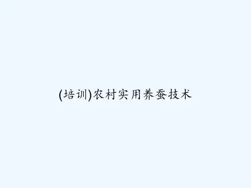 (培训)农村实用养蚕技术 PPT