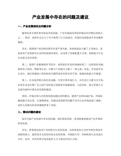 产业发展中存在的问题及建议