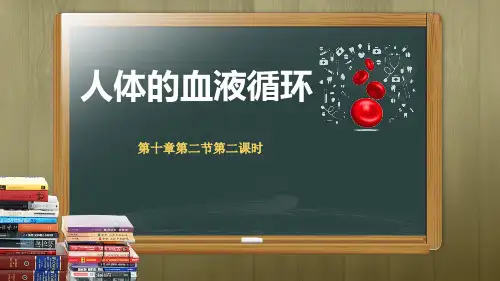 人教版初中生物七年级下册《人体血液循环》教学课件