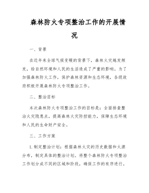 森林防火专项整治工作的开展情况